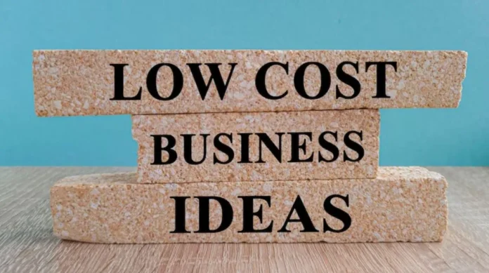 Low Cost Business Ideas with High Profit